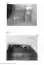 Fig. 03 - Method for preparing vegetable oil emulsion by ultrasonication