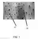 Fig. 02 - DENTAL WHITENING COMPOSITIONS