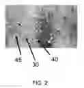 Fig. 03 - DENTAL WHITENING COMPOSITIONS