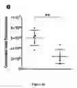 Fig. 09 - Methods and pharmaceutical compositions for the treatment of retinal capillary non-perfusion