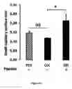 Fig. 15 - Methods and pharmaceutical compositions for the treatment of retinal capillary non-perfusion