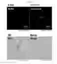 Fig. 11 - Microvesicles derived from nucleated, mammalian cells and use thereof