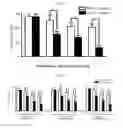 Fig. 16 - Microvesicles derived from nucleated, mammalian cells and use thereof