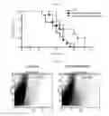 Fig. 24 - Microvesicles derived from nucleated, mammalian cells and use thereof