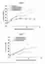 Fig. 04 - LIPOSOME AND LIPOSOME COMPOSITION