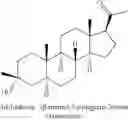 Fig. 04 - SUSTAINED RELEASE INJECTABLE NEUROSTEROID FORMULATIONS