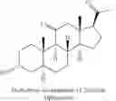Fig. 06 - SUSTAINED RELEASE INJECTABLE NEUROSTEROID FORMULATIONS