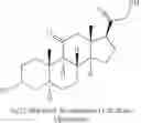Fig. 07 - SUSTAINED RELEASE INJECTABLE NEUROSTEROID FORMULATIONS