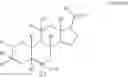 Fig. 13 - SUSTAINED RELEASE INJECTABLE NEUROSTEROID FORMULATIONS