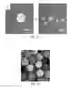 Fig. 03 - Systems and methods for making and using gel microspheres
