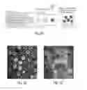 Fig. 04 - Systems and methods for making and using gel microspheres