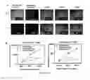 Fig. 06 - METHODS TO ENHANCE BIOAVAVAILABILITY OF ORGANIC SMALL MOLECULES AND DEPOSITED FILMS MADE THEREFROM