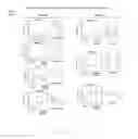 Fig. 06 - Antioxidizing intraocular perfusion solution