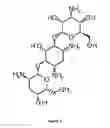 Fig. 03 - Bactericidal and virucidal pharmaceutical composition