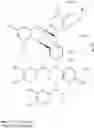 Fig. 02 - ENHANCED EXPRESSION OF mTOR AND INHIBITED EXPRESSION OF MYOSTATIN IN SKELETAL MUSCLE CELLS