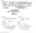 Fig. 08 - Methods for detection and eradication of myeloid leukemia stem cells