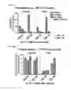 Fig. 22 - Methods for detection and eradication of myeloid leukemia stem cells
