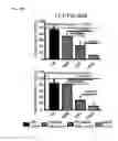 Fig. 46 - Methods for detection and eradication of myeloid leukemia stem cells