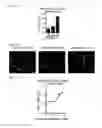 Fig. 65 - Methods for detection and eradication of myeloid leukemia stem cells