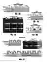 Fig. 03 - STIMULATION OF 11B-HSD2 EXPRESSION TO IMPROVE HORMONAL THERAPY OF STEROID-DEPENDENT DISEASE