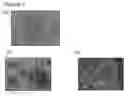 Fig. 03 - Preparation of and formulation comprising a MEK inhibitor