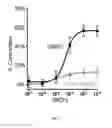 Fig. 02 - TREATMENT OF AIRWAY SMOOTH MUSCLE DYSFUNCTION