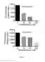 Fig. 05 - TREATMENT OF AIRWAY SMOOTH MUSCLE DYSFUNCTION