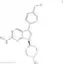 Fig. 49 - The Methods For Treatment Of Tumors