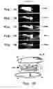 Fig. 03 - Substrates for Drug Delivery Device and Methods of Preparing and Use