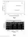 Fig. 08 - Substrates for Drug Delivery Device and Methods of Preparing and Use