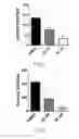 Fig. 03 - Methods of diagnosing and treating hepatocellular carcinoma