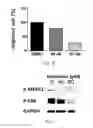 Fig. 05 - Methods of diagnosing and treating hepatocellular carcinoma
