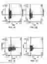 Fig. 10 - Compositions of and methods of treatment with zwitterionic polysaccharide