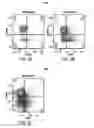 Fig. 12 - Compositions of and methods of treatment with zwitterionic polysaccharide
