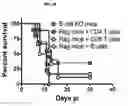 Fig. 24 - Compositions of and methods of treatment with zwitterionic polysaccharide