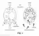 Fig. 02 - METHODS AND COMPOSITIONS FOR CANCER TREATMENT