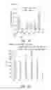 Fig. 06 - Method and compositions for cellular immunotherapy