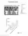 Fig. 15 - Method and compositions for cellular immunotherapy
