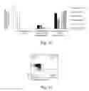Fig. 30 - CRISPR/Cas-related methods and compositions for improving transplantation