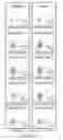 Fig. 43 - CRISPR/Cas-related methods and compositions for improving transplantation