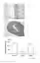 Fig. 06 - METHOD FOR TREATMENT OF INFERTILITY, PHARMACEUTICAL COMPOSITION FOR TREATMENT OF INFERTILITY AND METHOD FOR PRODUCING THE SAME