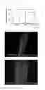 Fig. 08 - METHOD FOR TREATMENT OF INFERTILITY, PHARMACEUTICAL COMPOSITION FOR TREATMENT OF INFERTILITY AND METHOD FOR PRODUCING THE SAME