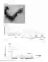 Fig. 10 - METHOD FOR TREATMENT OF INFERTILITY, PHARMACEUTICAL COMPOSITION FOR TREATMENT OF INFERTILITY AND METHOD FOR PRODUCING THE SAME