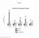 Fig. 09 - Extracellular vesicles with enhanced potency