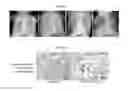 Fig. 22 - Extracellular vesicles with enhanced potency