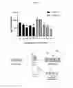 Fig. 24 - Extracellular vesicles with enhanced potency
