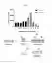 Fig. 25 - Extracellular vesicles with enhanced potency