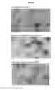 Fig. 35 - Extracellular vesicles with enhanced potency