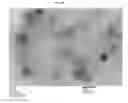 Fig. 42 - Extracellular vesicles with enhanced potency
