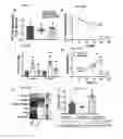 Fig. 54 - Extracellular vesicles with enhanced potency